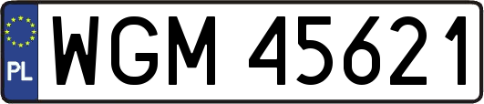 WGM45621