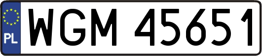 WGM45651