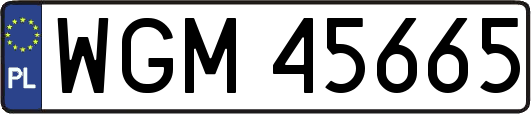 WGM45665