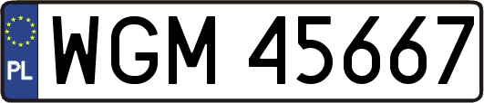 WGM45667