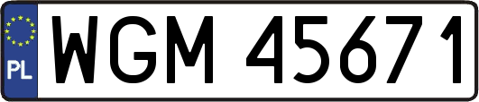 WGM45671