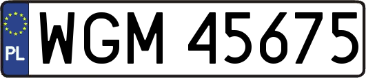 WGM45675