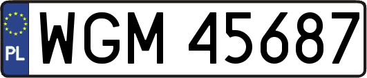 WGM45687
