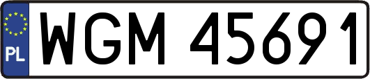 WGM45691