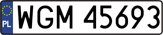 WGM45693