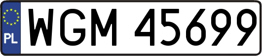 WGM45699