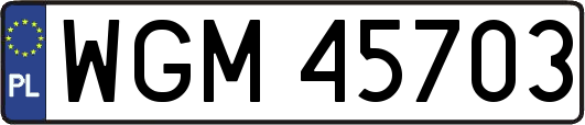 WGM45703