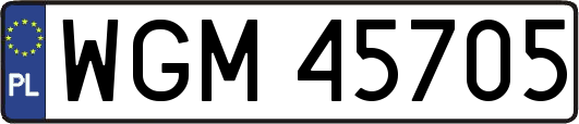 WGM45705