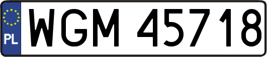 WGM45718
