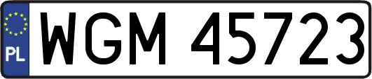 WGM45723