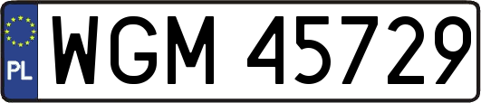 WGM45729