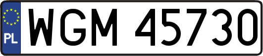 WGM45730