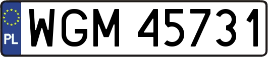 WGM45731
