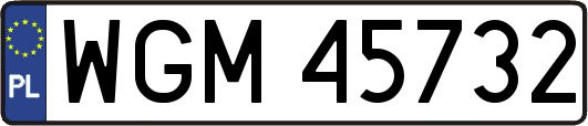 WGM45732
