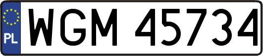 WGM45734