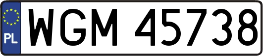 WGM45738
