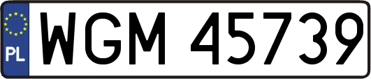 WGM45739