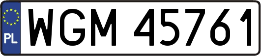 WGM45761