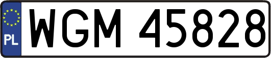 WGM45828