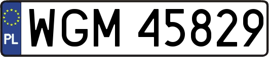 WGM45829