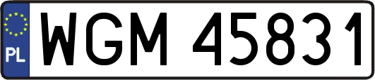 WGM45831