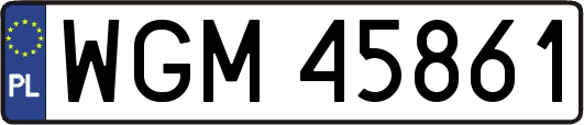 WGM45861