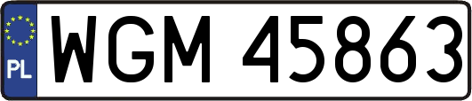 WGM45863