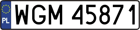 WGM45871