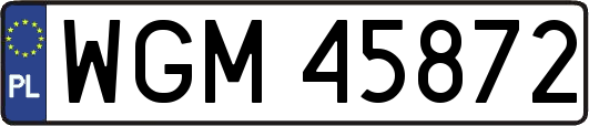 WGM45872