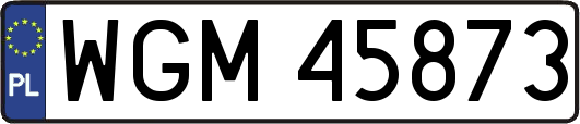WGM45873