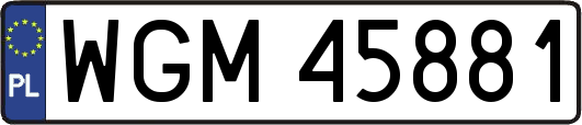 WGM45881