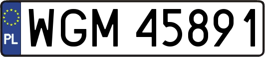 WGM45891