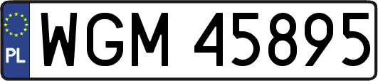 WGM45895