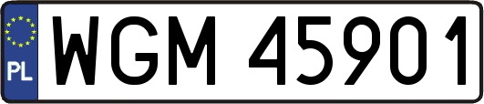 WGM45901