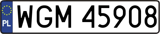 WGM45908