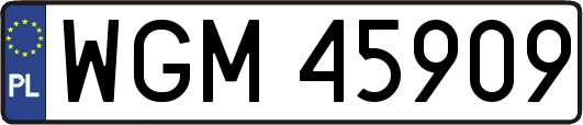 WGM45909