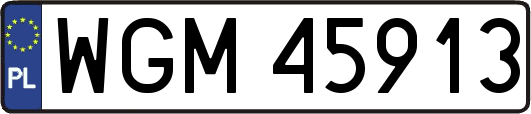 WGM45913
