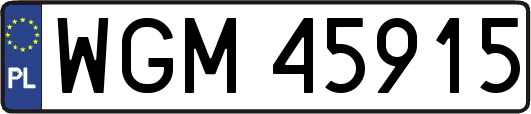 WGM45915