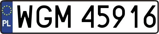 WGM45916