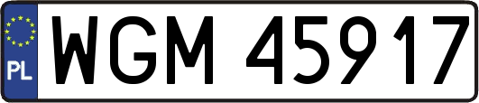WGM45917