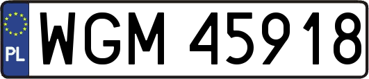 WGM45918