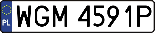 WGM4591P