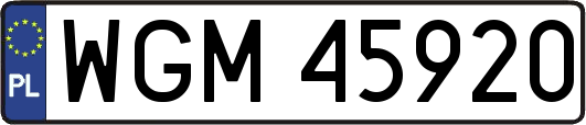 WGM45920