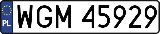 WGM45929
