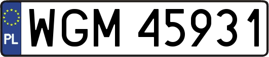 WGM45931