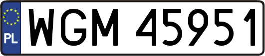 WGM45951