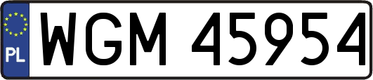 WGM45954