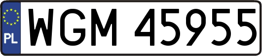 WGM45955