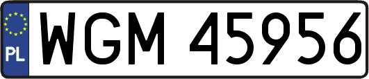 WGM45956