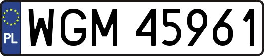 WGM45961
